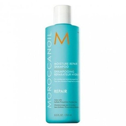 Moroccanoil Moisture Repair Szampon Regenerujący z Olejkiem Arganowym, 250ml