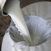Korres Greek Yoghurt chłodzący żel pod oczy roll-on z kofeiną