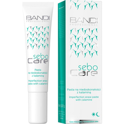 Bandi Pasta na niedoskonałości z kalaminą 14 ml