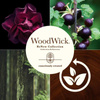 Woodwick RENEW - BLACK CURRANT & ROSE - świeca średnia 184 g