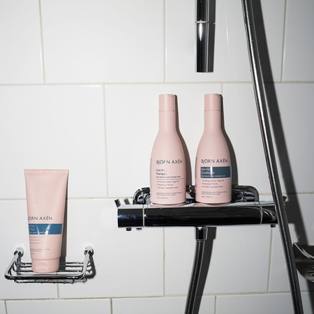Björn Axén ANTI-FRIZZ Wygładzający szampon do włosów 250 ml