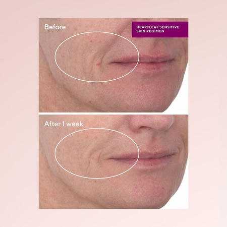 Murad Sensitive skin heartleaf calming cream - Kojący krem, 50 ml