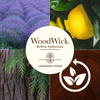 Woodwick RENEW - LAVENDER & CYPRESS - świeca duża 368 g