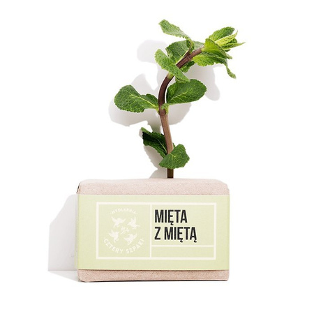 4 Szpaki Naturalne Mydło Mięta z Miętą